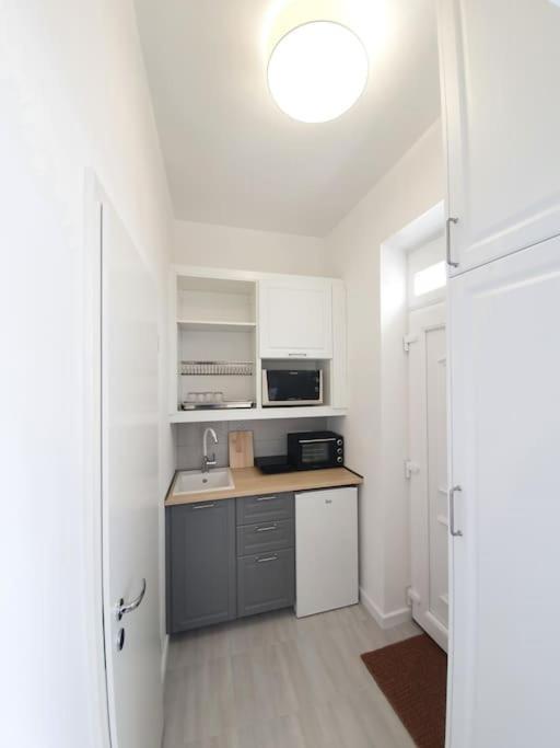 Master Apartment With Air Condition And Separated Rooftop Terrace Budapeste Exterior foto