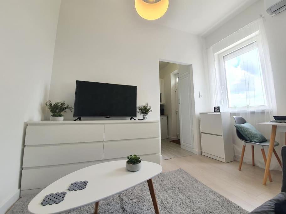 Master Apartment With Air Condition And Separated Rooftop Terrace Budapeste Exterior foto